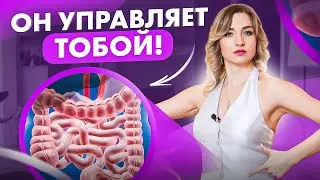 Кишечник важнее, чем мозг? Вот кто на самом деле нами управляет!
