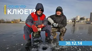 ЧТО НА ЧТО клюет? Серия 35