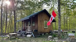 Off grid cabin in the woods. Quick tour