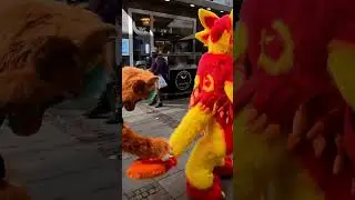 aren't they sweet #furry #fursuit #fursuiters #furries #fursona #travel #dance #cat #funny #cute