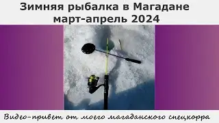 Зимняя рыбалка в Магадане март-апрель 2024. Видео-привет от моего магаданского спецкорра