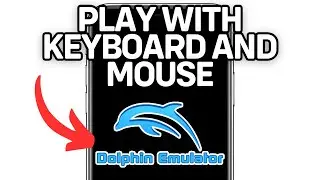 PLAY DOLPHIN EMULATOR WITH KEYBOARD AND MOUSE 2025! (FULL GUIDE)