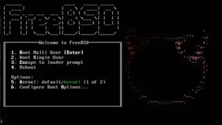 FreeBSD 11.2. Установка