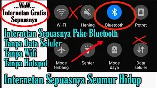 Internetan Dengan Mode Bluetooth