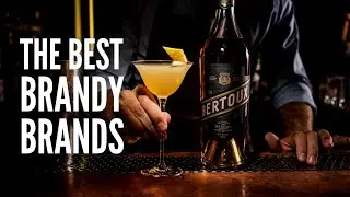 20 Best Brandy Brands To Drink Right Now