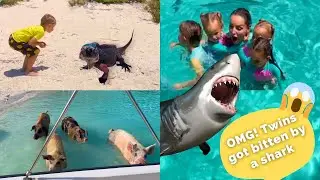 BAHAMAS DAY #10: Twins got bitten by a SHARK, visiting IGUANAS and swimming PIGS #exuma #travelvlog