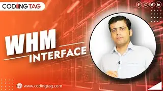 Introduction to WHM Interface | 1st Step to Start Web Hosting Business