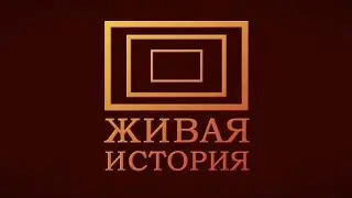 История нашей истории