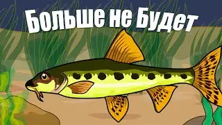 Исчезающий вид рыб наших водоемов, что с ними происходит?