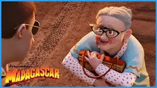 Nana Saves the Safari | DreamWorks Madagascar