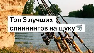 Топ 3 лучших спиннингов на щуку🦈