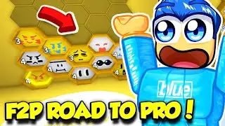 My Road To BECOMING A BEE SWARM PRO FREE TO PLAY!