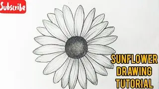 How To Draw A Sunflower Easy For Beginners || Flower Drawing Tutorial