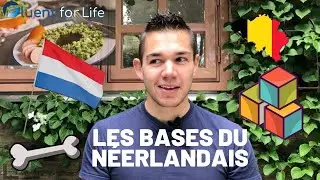 Apprendre le néerlandais - cours de néerlandais facile partie 1: les bases fondamentales