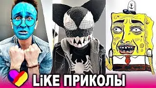 ЛУЧШИЕ ВИДЕО ЛАЙК 2019 Подборка | ПРИКОЛЫ Like Самые Няшные и Прикольные Видео