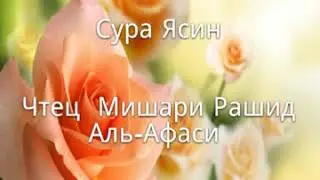 Сура 36 Ясин Чтец Мишари Рашид Аль-Афаси
