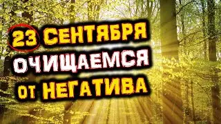 23 сентября День Осеннего РАВНОДЕНСТВИЯ | Очищаемся от НЕГАТИВА | Голос Анха