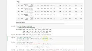 009bd Dropping a range of pandas DataFrame columns or rows
