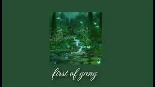 POV: you are sitting in forest (a comfort playlist)