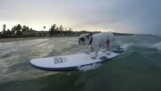 sTrAnGeR wAvEs of Puerto Rico