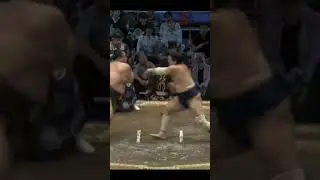 Хиденоуми VS Цухеманада Нагоя Басё 2024 #japan #sumo #sport #ufc #сумо #япония #мма #wwe #mma