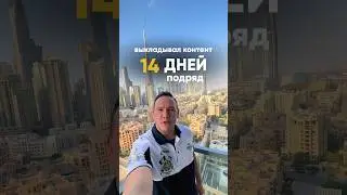 Реальный доход за 14 дней на ДЗЕН