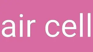 Air Cell Definition & Meaning