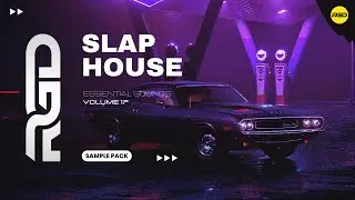 Slap House Sample Pack - Essentials V17 | Samples, Vocals & Presets