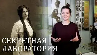Зоопсихология и секретная лаборатория Дарвиновского музея. Елена Сударикова.