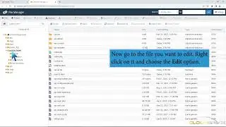 How to Edit file in the cPanel File Manager with CloudSpace