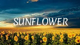 Sunflower - Jean-Philippe Ichard