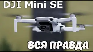 DJI Mini SE ... На что способен новый БЮДЖЕТНЫЙ дрон от DJI?