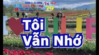290 Mời NAM  Nhạc  Tôi Vẫn Nhớ  Hát cùng  BÍCH PHƯƠNG   the Fun in Tulip Festival  Farms Hoa Kỳ  MỸ