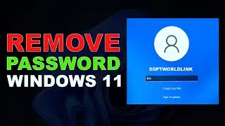 How to easily remove your PIN on Windows 11 - Remove Password From Windows 11