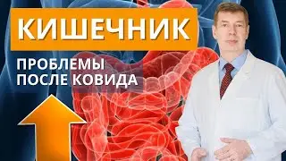 Проблемы с кишечником после ковида: почему начались и что делать?