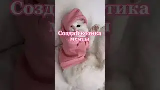 Создай котика мечты 