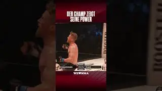 MEGA KNOCKOUT am Cage bei We Love MMA in Düsseldorf!