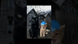 Страшные истории от бабушки 😱 