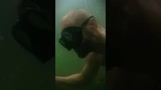 #fish