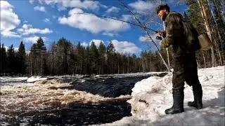 Большая вода Весна 2024 рыбалка