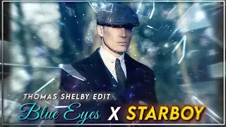 Blue Eyes X Starboy | Thomas Shelby