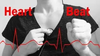 ASMR Heart Beat and Regulating Heart Rate with Breathing