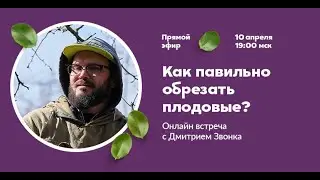 Как обрезать плодовые? Онлайн встреча с Дмитрием Звонка