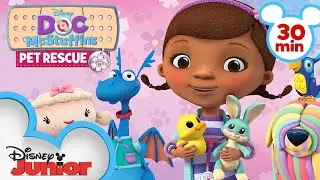 Pet Rescue | 30 Minute Compilation | Doc McStuffins | @disneyjr