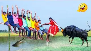 Must Watch Special Comedy Video 😎Totally Amazing Comedy Episode 292 by 