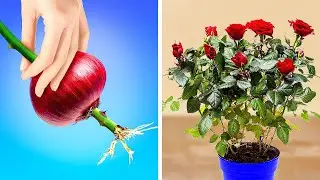 Easy Gardening Hacks To Grow Your Dream Garden