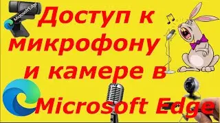 Как в браузере разрешить доступ к камере и микрофону?