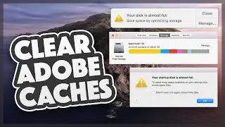 How to Clear Cache on Mac (Delete Hidden Files and Free Up Storage)