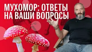 Ответы на вопросы: Мухомор. От Токсикологии до Властелина Колец. Михаил Вишневский