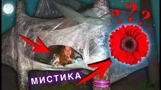 НОЧЬ в доме из Пленки ЦВЕТОК В БАССЕЙНЕ на дереве МИСТИКА | Elli Di